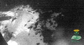 Oberhof: Rennsteiggarten