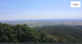 Dörrenbach: Panoramic View from Stäffelsbergturm