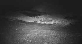 Rainbow Ski Area: Anfängerbereich