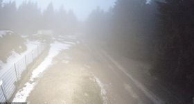 Loipe am Rennsteig (Stein 16)