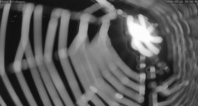 Ritzhagen - View slopes