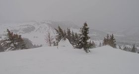 Webcam zeigt die aktuelle Schneelage in Sunshine Village