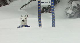 Schneehöhe Sunshine Village