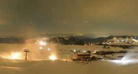 Alpe di Siusi: Goldknopf