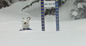 Settled Base Sunshine Village