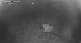 Webcam zeigt die aktuelle Schneelage in Skihang Falkenau