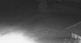 Webcam zeigt die aktuelle Schneelage in Ruhestein