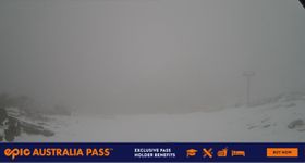 Perisher: Summit Blue Cow