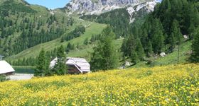 Summer special on NASSFELD June-September 2026