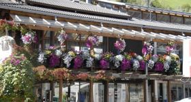 Rent and Go Sport Mayrl