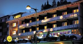 Hotel Alpina