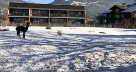 AlpenApart Montafon - Appartement Sennerei