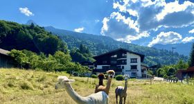 AlpenApart Montafon - Haus Engstler