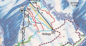 Grimmialp Diemtigtal