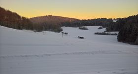 Münsingen Dottingen