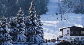 Wolfsberg (Siegsdorf)