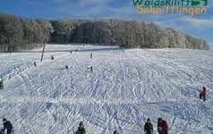 Waldskilift Schnittlingen