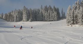 Pistenplan Schneeland Wenigzell
