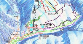 Grimmialp Diemtigtal