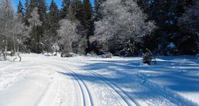 Schwarzenberg Bödele