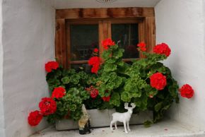 General information about your stay at ****Chasa Aquileia