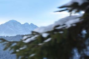 General information about your stay at The Vista Hotel