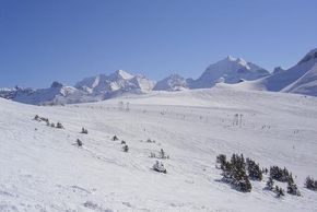 General information about your stay at uf dr Flue