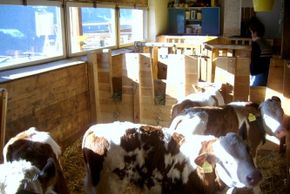 General information about your stay at Veidlerhof