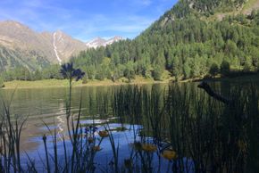 General information about your stay at Waldhäuslhütte