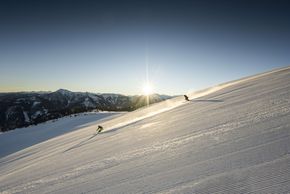 General information about your stay at Wohlfühlhotel Tannenhof