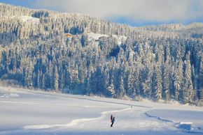 General information about your stay at Aktiv Sporthotel Brixen