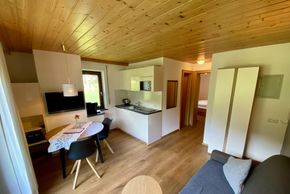 General information about your stay at AlpenApart Haus Engstler