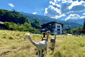 General information about your stay at AlpenApart Haus Engstler