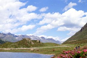 General information about your stay at Alpengasthof Zollwirt