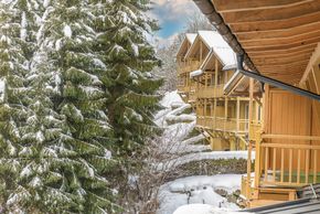 AlpenParks Apartment & Holiday Resort Rehrenberg