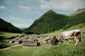 General information about your stay at Alpine Wellness Hotel Masl