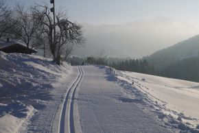 General information about your stay at Alte Schmiede