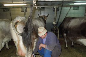 General information about your stay at Am Moeslehof