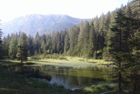 General information about your stay at Angererhof