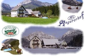 General information about your stay at Angererhof