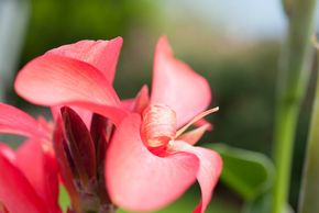 General information about your stay at Apart Heim