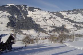 General information about your stay at Apartment Thaler