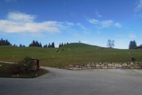 General information about your stay at Apartement Wiemhof