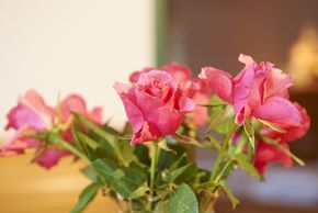 General information about your stay at Aparthotel-Garni Paradies