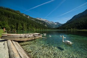 General information about your stay at Aparthotel Steger