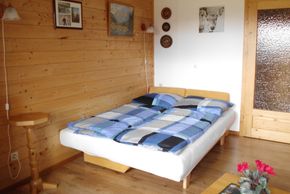 General information about your stay at Appartement Weide Blick