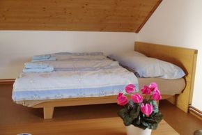General information about your stay at Appartement Weide Blick