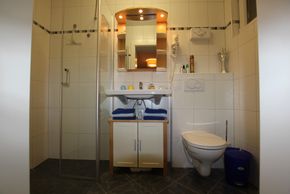 General information about your stay at Appartement Wildkogel