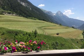 Your view at the back of the house - Eisenspitz