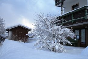 General information about your stay at Appartement Hollaus